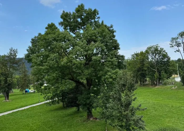 Yeti Apartamenty Krupówki 73C